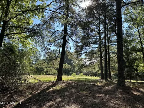 5121 Highway 49, Mount Olive, MS 39119 photo 6