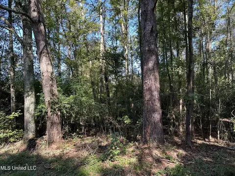 5121 Highway 49, Mount Olive, MS 39119 photo 26