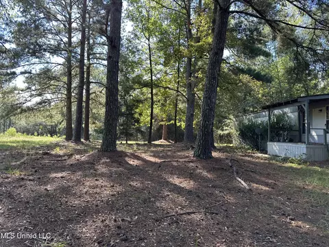 5121 Highway 49, Mount Olive, MS 39119 photo 5
