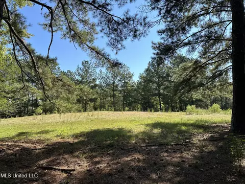 5121 Highway 49, Mount Olive, MS 39119 photo 25