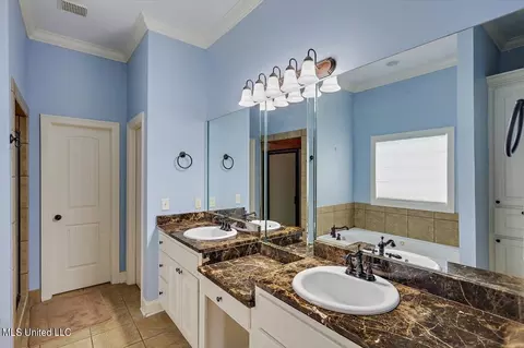 Bath - 115 Turtle Ridge Dr, Brandon, MS 39047 photo 1 of 3