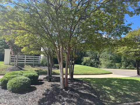 3796 Wren Holw, Hernando, MS 38632 photo 42