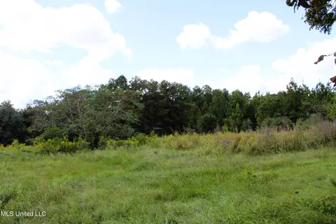 128 Harvey Rd, Lucedale, MS 39452 photo 8