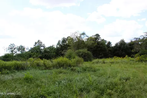 128 Harvey Rd, Lucedale, MS 39452 photo 7