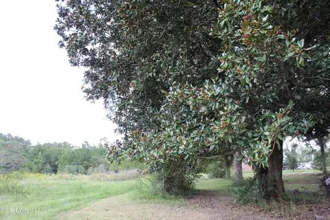 128 Harvey Rd, Lucedale, MS 39452 photo 10