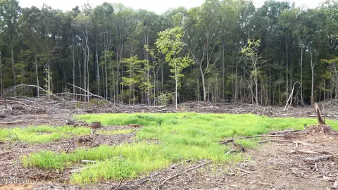 49 811 Rd, Tillatoba, MS 38961