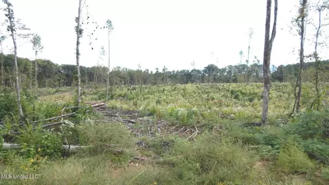 31 811 Rd, Tillatoba, MS 38961