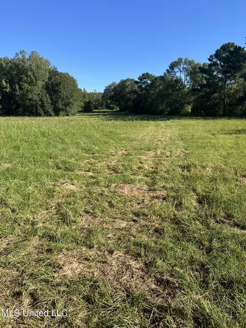 Moncure Road, Terry, MS 39170 photo 2