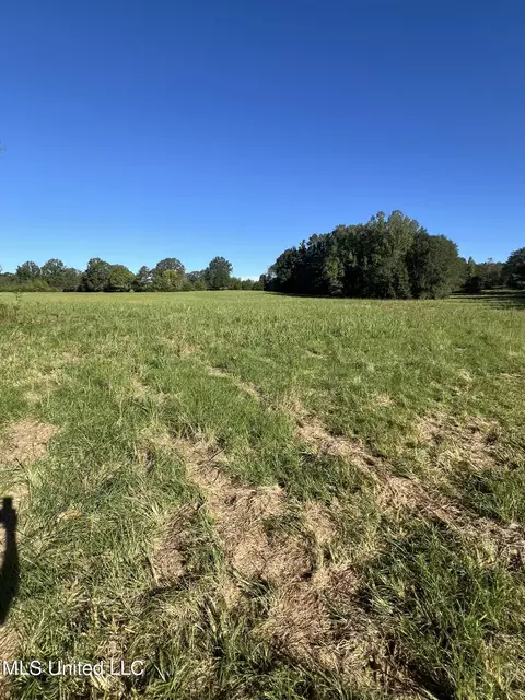 Moncure Road, Terry, MS 39170 photo 3