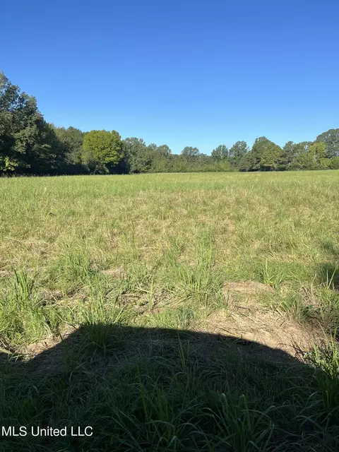 Moncure Road, Terry, MS 39170 photo 4