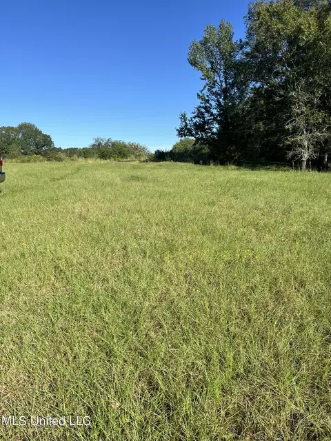 Moncure Road, Terry, MS 39170 photo 9