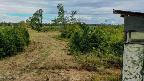 Red Dog Rd, Carthage, MS 39051 photo 2
