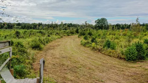 Red Dog Rd, Carthage, MS 39051 photo 5
