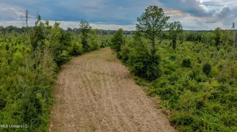 Red Dog Rd, Carthage, MS 39051 photo 6