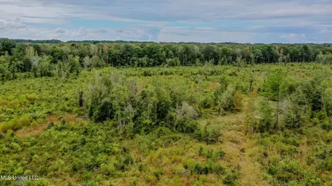Red Dog Rd, Carthage, MS 39051 photo 13