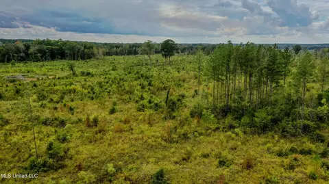 Red Dog Rd, Carthage, MS 39051 photo 16