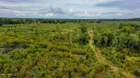 Red Dog Rd, Carthage, MS 39051 photo 14