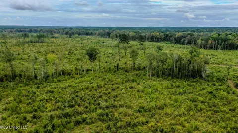 Red Dog Rd, Carthage, MS 39051 photo 15