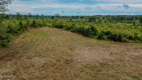 Red Dog Rd, Carthage, MS 39051 photo 7