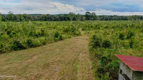 Red Dog Rd, Carthage, MS 39051 photo 3