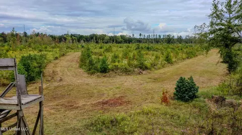 Red Dog Rd, Carthage, MS 39051 photo 4