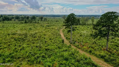 Red Dog Rd, Carthage, MS 39051 photo 10