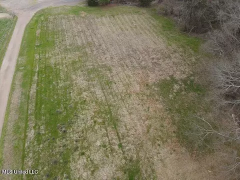 339 Lowe Cir, Richland, MS 39218 photo 3