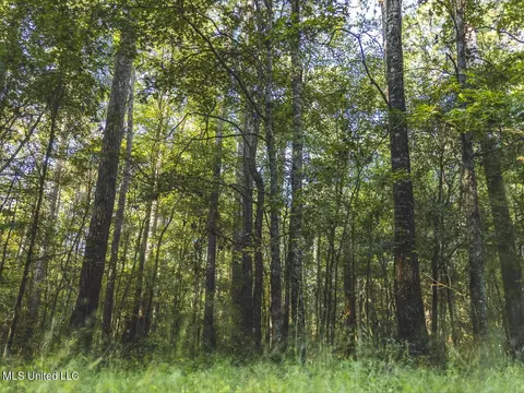 Clara Foote Road, Braxton, MS 39044 photo 2
