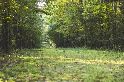 Clara Foote Road, Braxton, MS 39044 photo 3