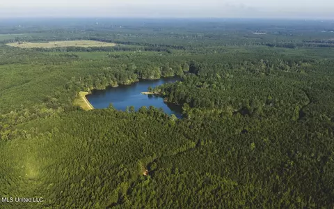 Clara Foote Road, Braxton, MS 39044 photo 26
