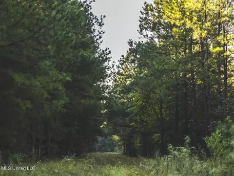 Clara Foote Road, Braxton, MS 39044 photo 7