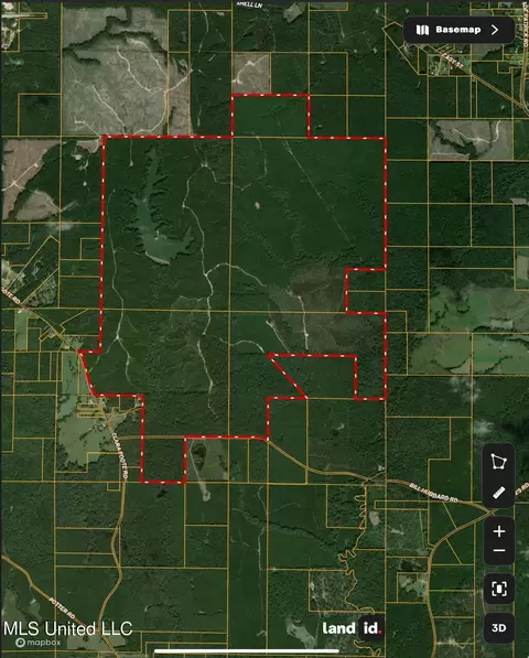 Clara Foote Road, Braxton, MS 39044 photo 30