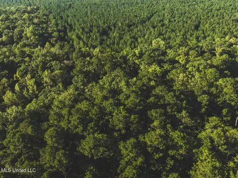 Clara Foote Road, Braxton, MS 39044 photo 18