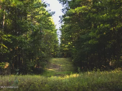Clara Foote Road, Braxton, MS 39044 photo 6