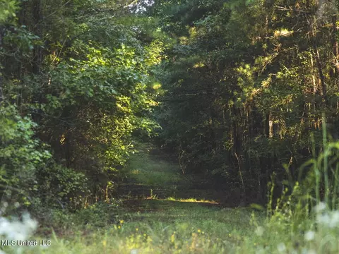 Clara Foote Road, Braxton, MS 39044 photo 5