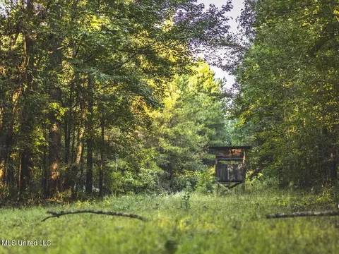 Clara Foote Road, Braxton, MS 39044 photo 4