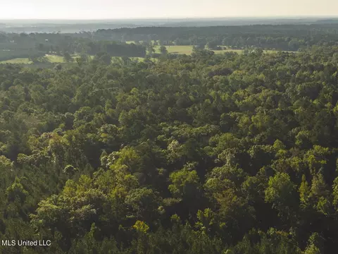 Clara Foote Road, Braxton, MS 39044 photo 20