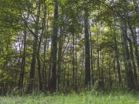 Clara Foote Road, Braxton, MS 39044 photo 13