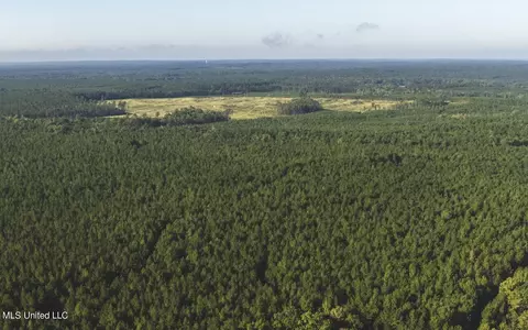 Clara Foote Road, Braxton, MS 39044 photo 21
