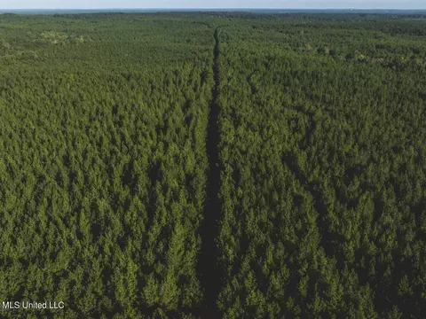 Clara Foote Road, Braxton, MS 39044 photo 19