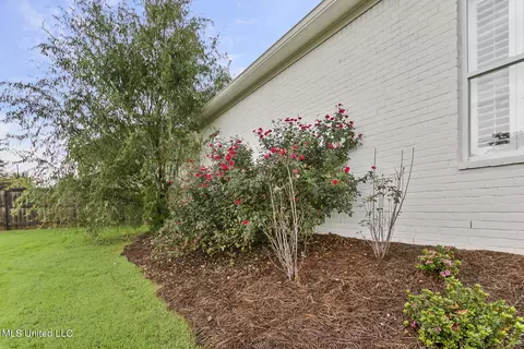 Exterior - 133 Camden Pt, Madison, MS 39110 photo 3 of 7