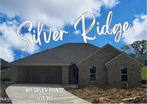 807 Silver Pointe Pointe, Pearl, MS 39208