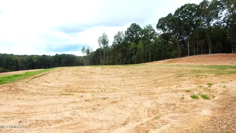 203 Hugh White State Park Rd, Grenada, MS 38901 photo 2