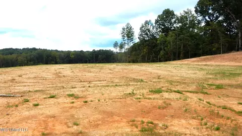 203 Hugh White State Park Rd, Grenada, MS 38901 photo 3