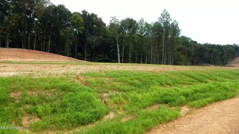 203 Hugh White State Park Rd, Grenada, MS 38901