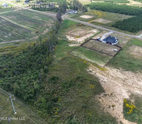View/Area - 474 Stump Ridge Rd, Brandon, MS 39047 photo 10 of 19