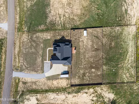 View/Area - 474 Stump Ridge Rd, Brandon, MS 39047 photo 19 of 19