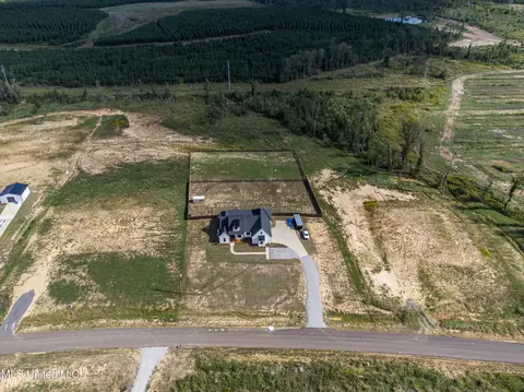 View/Area - 474 Stump Ridge Rd, Brandon, MS 39047 photo 16 of 19
