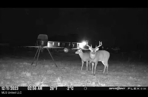 Other - 474 Stump Ridge Rd, Brandon, MS 39047 photo 11 of 13