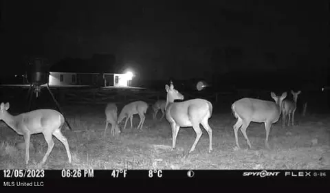 Other - 474 Stump Ridge Rd, Brandon, MS 39047 photo 12 of 13